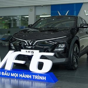 Vinfast vf6